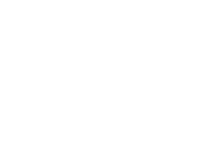 Magellan Executive Partners